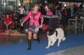 International dog show Duo CACIB in Brno Royalty Free Stock Photo